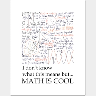 MATH IS COOL Posters and Art